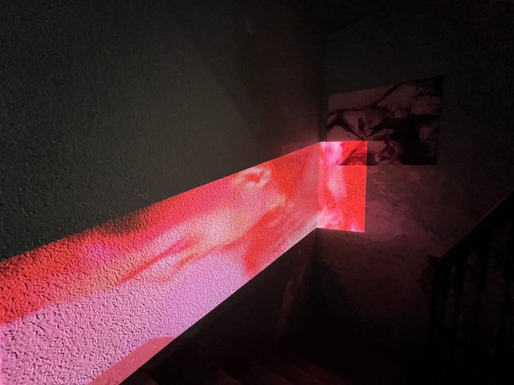 Paolo Maggis Vanessa Pey INTERSECTION